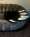 Cushion black / Silver Wiener Times